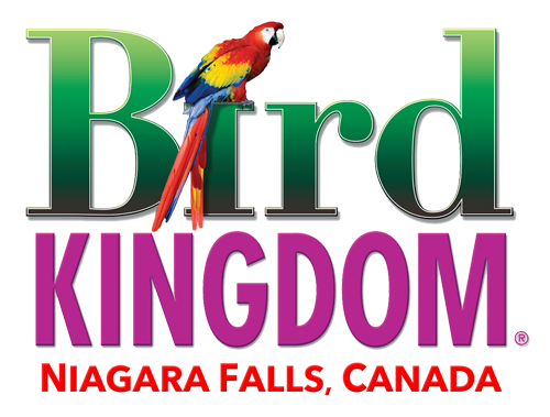 Bird Kingdom