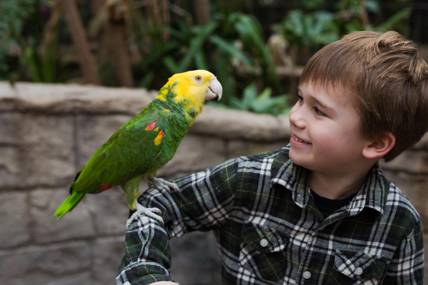 Bird Kingdom